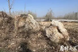 村名印迹|凤凰传说寓意美，两村合一和为贵图片