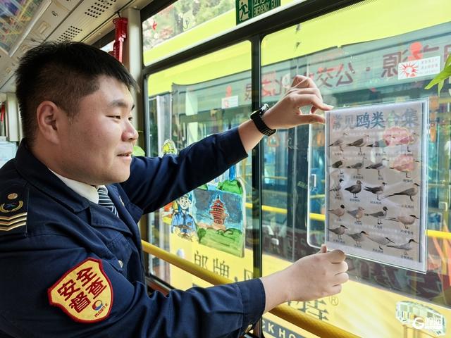 青岛6路开出“赏鸥专线”，来一场与海鸥的浪漫之约