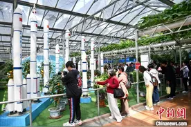 第二十六届中国（寿光）国际蔬菜科技博览会开幕图片