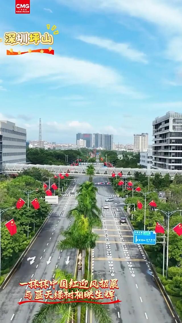 人气足，活力旺！国庆中秋坪山频获央视关注