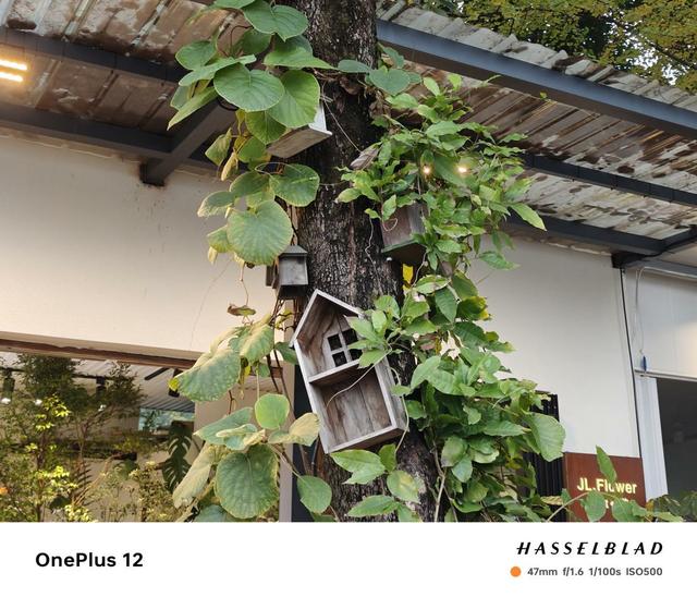 ��ԽPro����ȫ����ˮͰ�콢��һ��12����