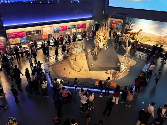 国庆中秋假期 国家海洋博物馆“上新”多维度文旅产品