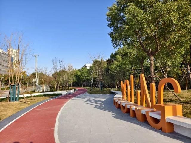 一树一景一步道，宝山这条生态步道升级，遛弯超惬意～