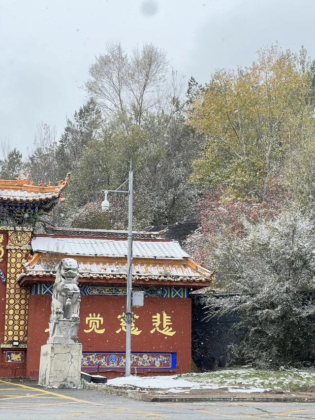 遇见2025年五大连池第一场雪，年年落雪，雪落年年～