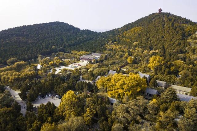 跟着影视剧去旅行｜又上新啦！快来日照&临沂过周末吧！