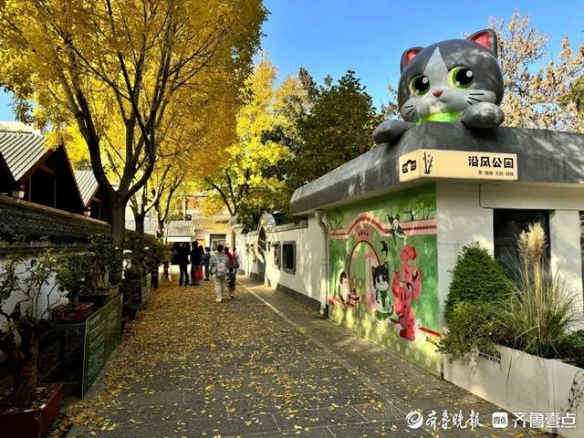 邂逅浪漫秋光，济南市多家公园景区秋色已备好