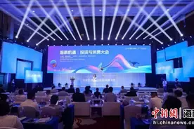 消博会举办“海南机遇：投资与消费”大会图片