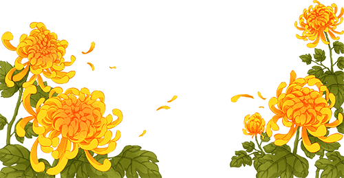 已开，免费！10万盆菊花、超多精彩活动等你来