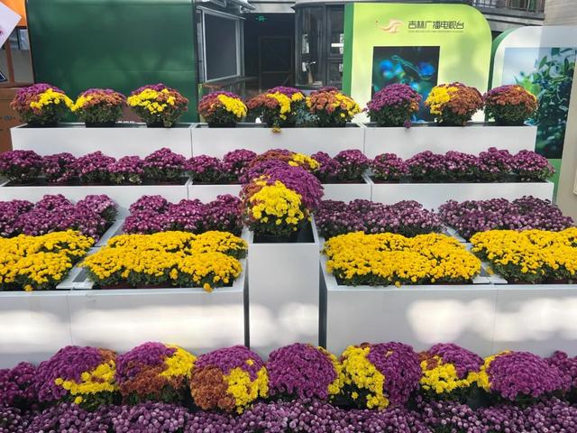 挖到新彩蛋！这处4A级景区玩法超多→