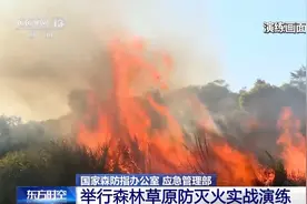 无人机巡航、直升机灭火……直击森林草原防灭火实战演练现场图片