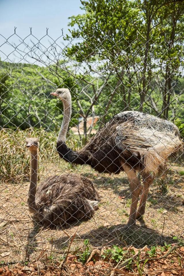 连休五天，浙L大部队已到……
