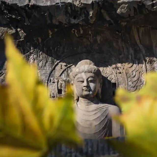 突破次元壁！神都洛阳×《魔域口袋版》联动上线，跟着女帝游盛唐
