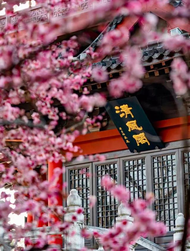 春晚同款打卡地！一秒“穿越”回北宋