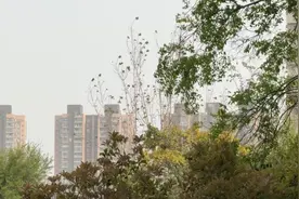 “输入性”沙尘天气多久结束？最新预测来了图片