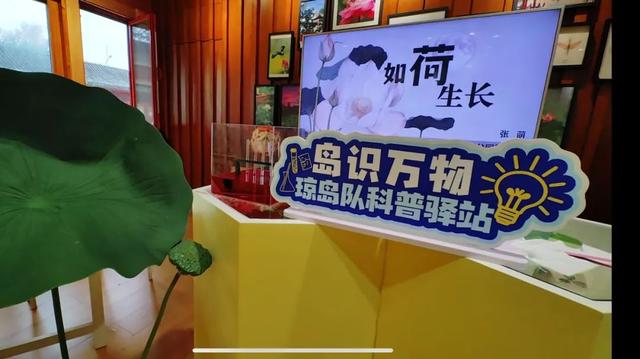 开放主题季｜“百年北海 盛世园林”——北海公园主题文化周即将亮相路县故城遗址公园！