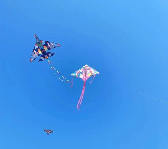 值得去！拉市海边有个宝藏公园