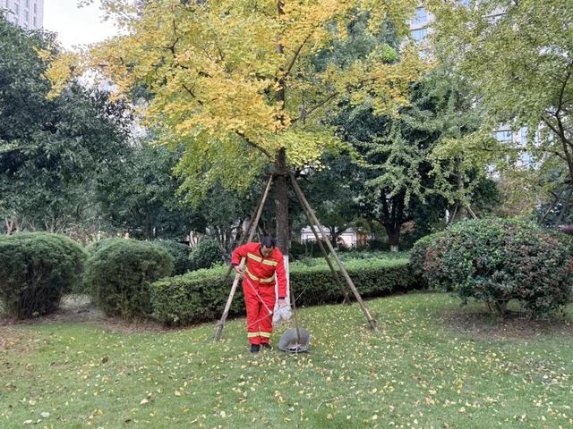 守护“限定浪漫”！诸暨8处，安排上了！