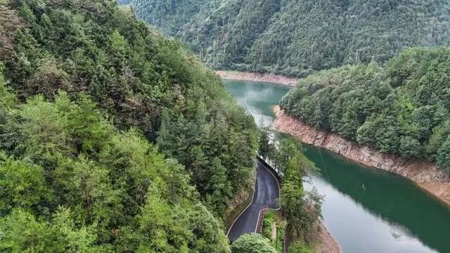 世界最大、亚洲唯一！今晨，他们在30000多棵楠木、8600亩森林，1500年的时光里奔跑......