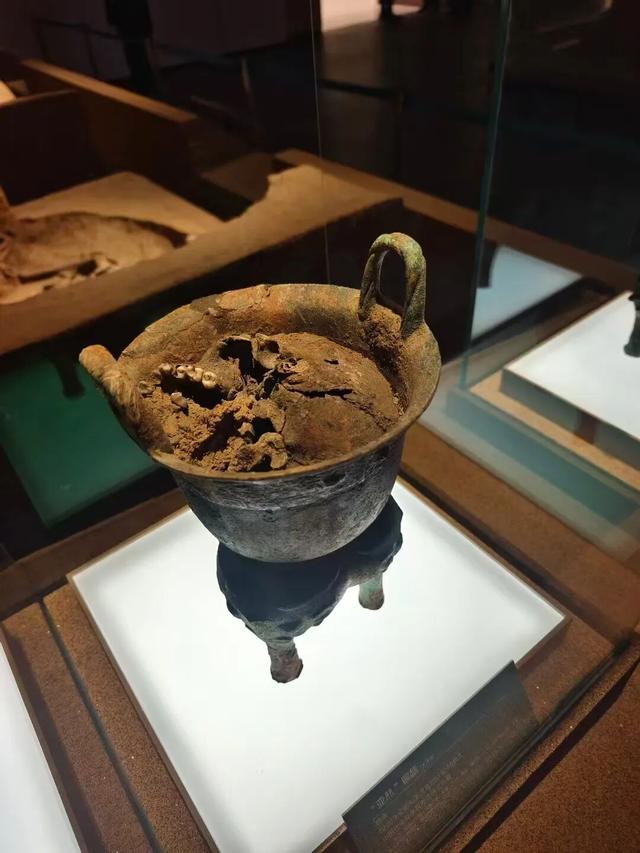 河南游学 | 殷墟，一次与三千年文明的深度握手（10/24-26）