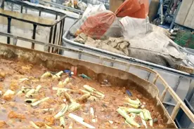 “打粉时无法控制，我们也怕着火爆炸”｜暗访动力电池回收乱象图片