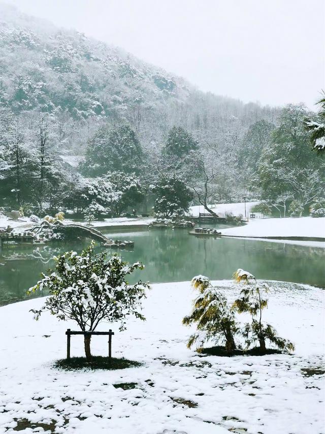晚潮｜邀山揖湖：四季繁花与千年山水