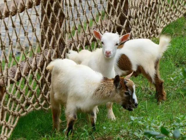 江宁初冬亲子“三件套”→