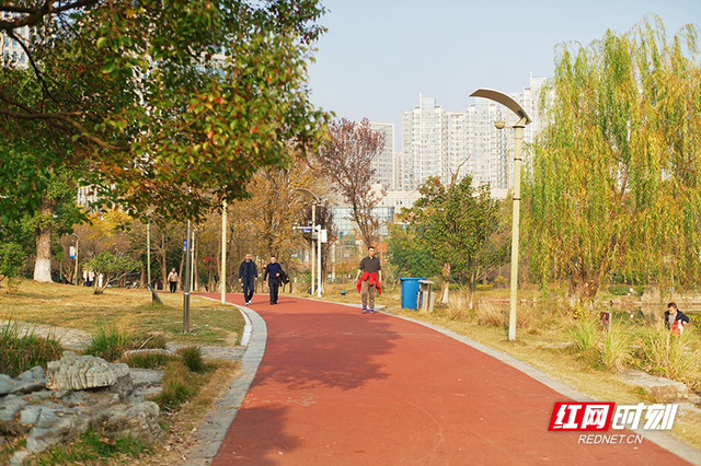 晴暖末班车！株洲神农湖彩叶美景别错过