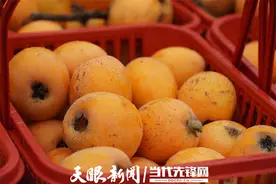 台江：枇杷成熟把歌唱图片
