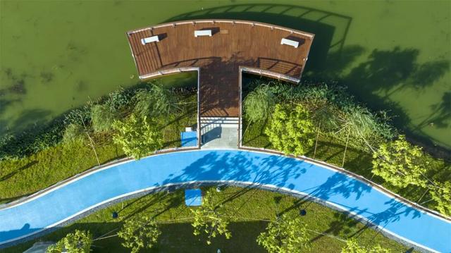 运动、遛娃、拍照全安排！东莞人“家门口”又上新了