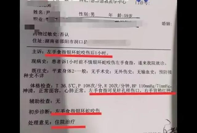 大反转！直播抓蛇被咬伤失联网红，被警方拘留8天后道歉：蛇攻击瞬间被甩开，毒液未完全注射下去