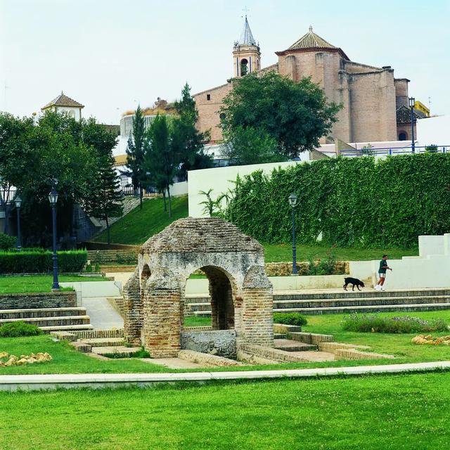 直播预告：四天联播西班牙国家公园系列之多尼亚纳