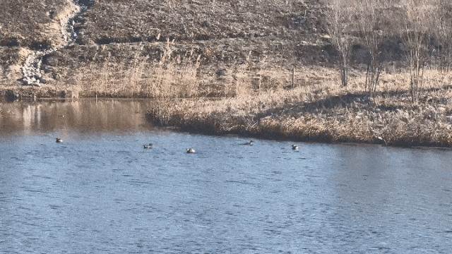 北京冬日限定“奇观”！就到月底！快冲→