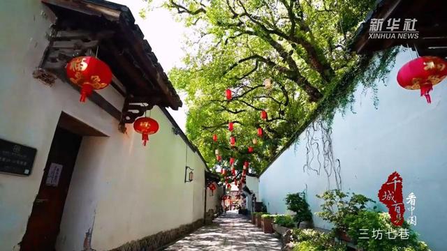 千城百县看中国丨福建福州：绿染榕城画中行