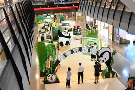 “萌兽大熊猫”科普展在陆家嘴商圈开幕，开启沉浸式萌趣之旅图片
