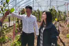 扶智扶志暖民心！中国气象局驻突泉县副县长槐杨的帮扶故事图片