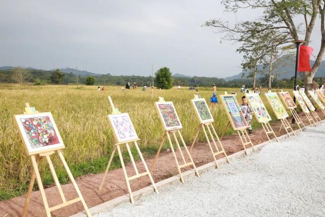 多图+视频！一起回看2025年白沙“啦奥门”雨林与您山兰文化活动精彩瞬间