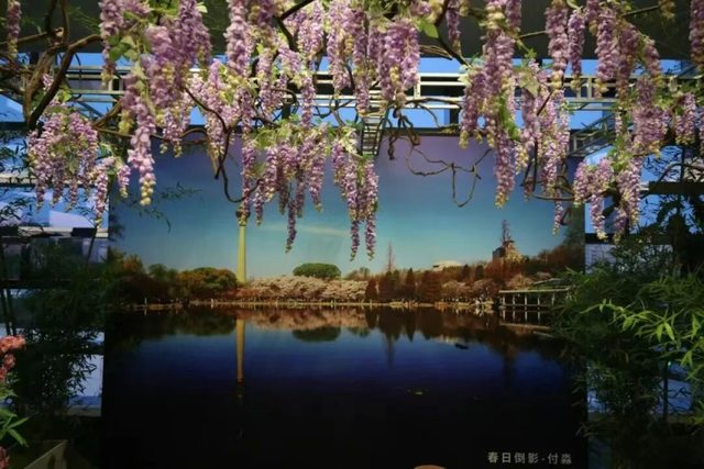 开放主题季｜汉风古韵邂逅生态之美 双园联动共谱“一眼千年”