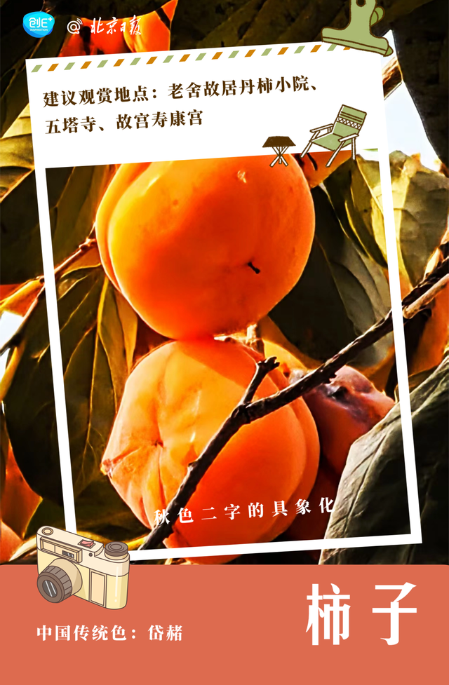 不只有红叶，北京的秋色能有多惊艳