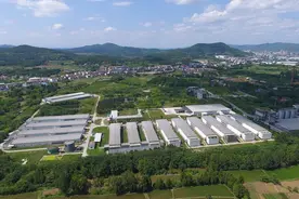 好样的！四川造②丨一年销售鸡蛋25亿枚，圣迪乐的“焕新”之路图片