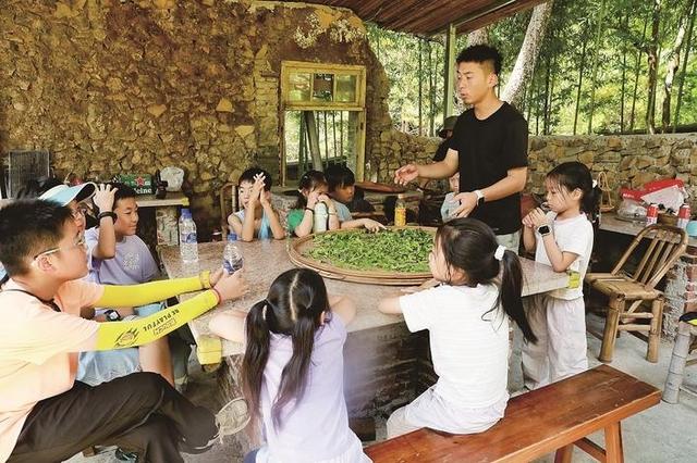 “世外桃源”乐研学 “绿色宝库”助增收