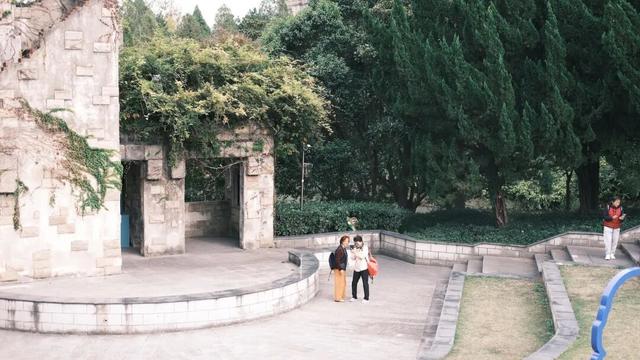 域见上海·域见奉贤｜奉浦秋日限定！这三条宝藏路线，承包所有秋日浪漫，刷爆朋友圈就靠它