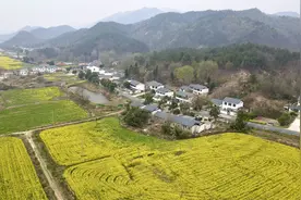 春日来信图片
