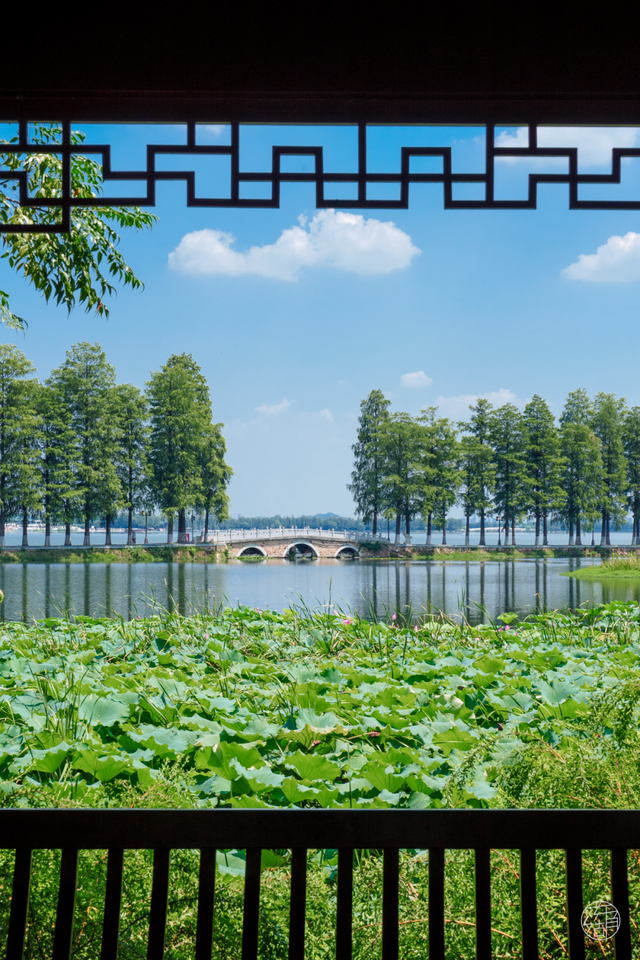 武汉绝美「海上公路」，就在东湖！