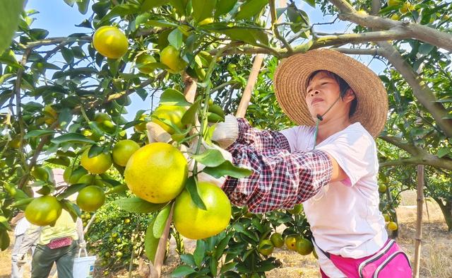 图集｜去中国大陆最南端，探寻“鲜美”湛江的“吃和远方”