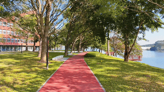 从科学之城到文艺之心，一座松山湖城市地标的周年回响