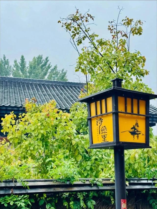 西咸新区600亩向日葵海已绽放