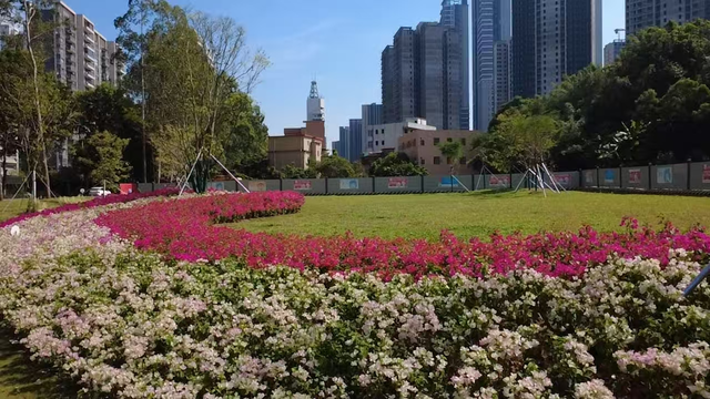 广州南沙披上“繁花盛装”，扮靓绿美全运画卷