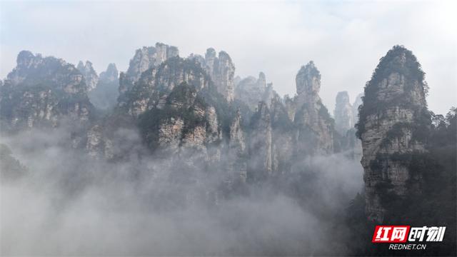 张家界黄石寨雨后现日出云海 仙境画卷醉游人