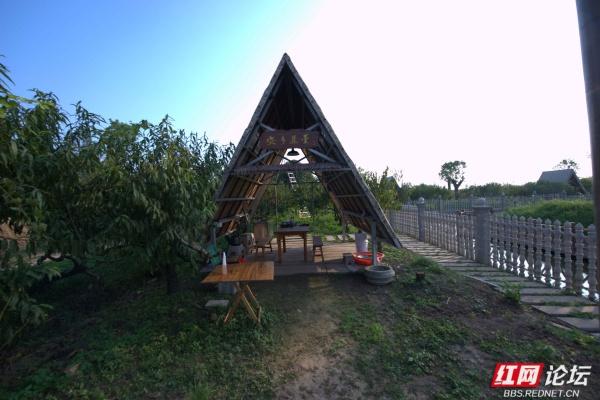 秋游时刻丨在安乡县关保村，步入田园诗画里