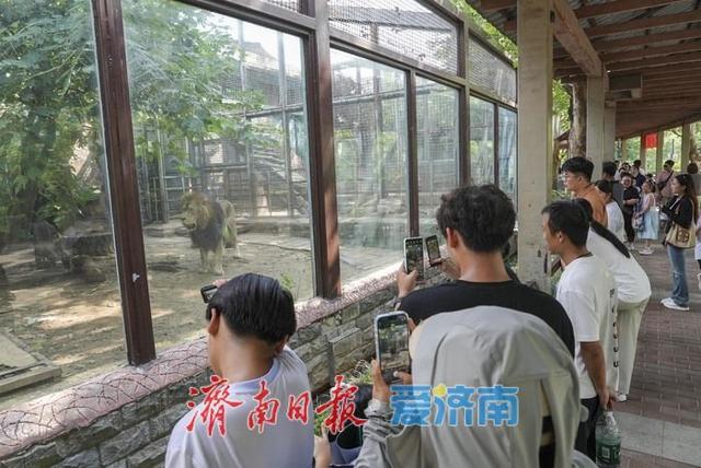 济南动物园暑期人气旺，亲子游成主流